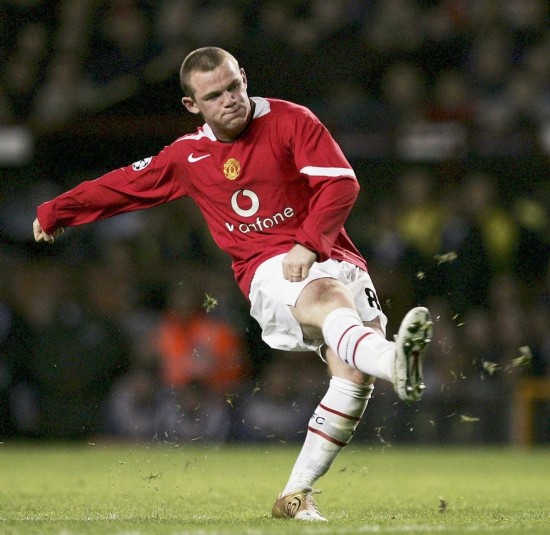 具备高度的 具备高度的